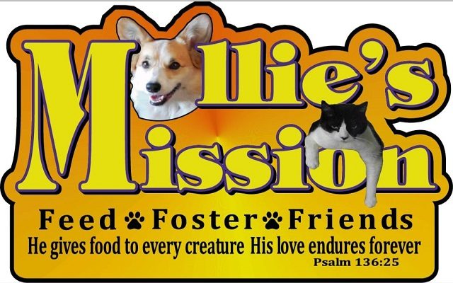 Mollies Mission’s Pet Food Bank